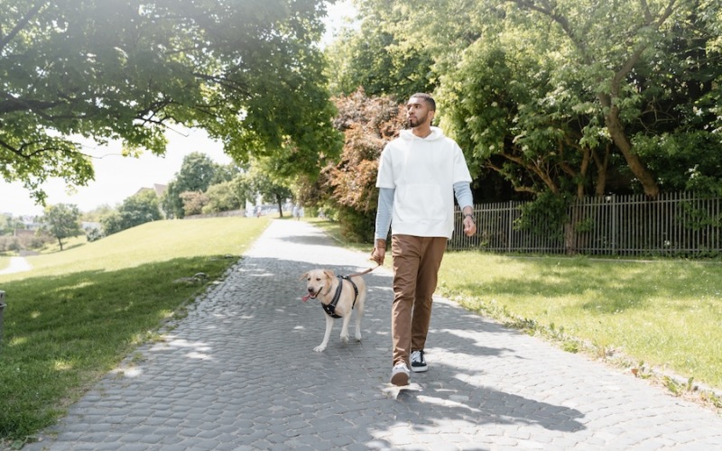 a man walking his dog on a sidewalk